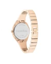 นาฬิกาข้อมือ CALVIN KLEIN CK25200236,30 MM.,STAINLESS STEEL,ROSE GOLD				