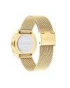 นาฬิกาข้อมือ CALVIN KLEIN CK25200246,37 MM.,STAINLESS STEEL,GOLD 				
