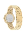 นาฬิกาข้อมือ CALVIN KLEIN CK25200321,34 MM,STAINLESS STEEL,GOLD				