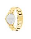 นาฬิกาข้อมือ CALVIN KLEIN CK25200367,36 MM.,STAINLESS STEEL,GOLD    				