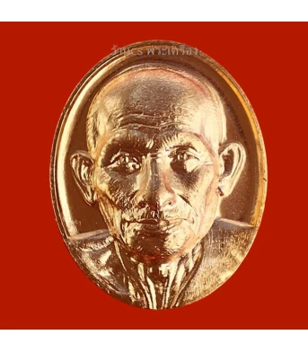 เหรียญเม็ดแตง หลวงปู่ศุข วัดปากคลองมะขามเฒ่า รุ่น100ปีมรณกาล เนื้อทองแดง [AE01AC01]
