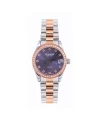 นาฬิกา US MASTER NEW YORK USM-EG07-SRG-VLT DIANA EG07 31 MM,SILVER ROSEGOLD / VIOLET	