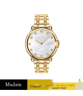 นาฬิกา COACH 14503987,36 MM,STAINLESS STEEL,GOLD
