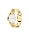 นาฬิกา CALVIN KLEIN CK25100023,36 MM,STAINLESS STEEL,GOLD