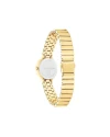 นาฬิกา CALVIN KLEIN CK25200416,25 MM,STAINLESS STEEL,GOLD