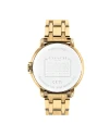 นาฬิกา COACH 14503987,36 MM,STAINLESS STEEL,GOLD