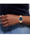 นาฬิกา Coach 14504218 Chelsea Women's Watch ,Stainless Steel ,Gold / Blue		