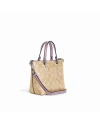 กระเป๋าสะพายข้าง COACH CA721 MINI GALLERY CROSSBODY IN SIGNATURE CANVAS (SVUDV)