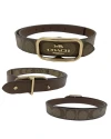 เข็มขัด COACH CE971 Morgan Rectangle Buckle Belt (IMBDXS) SIZE:S